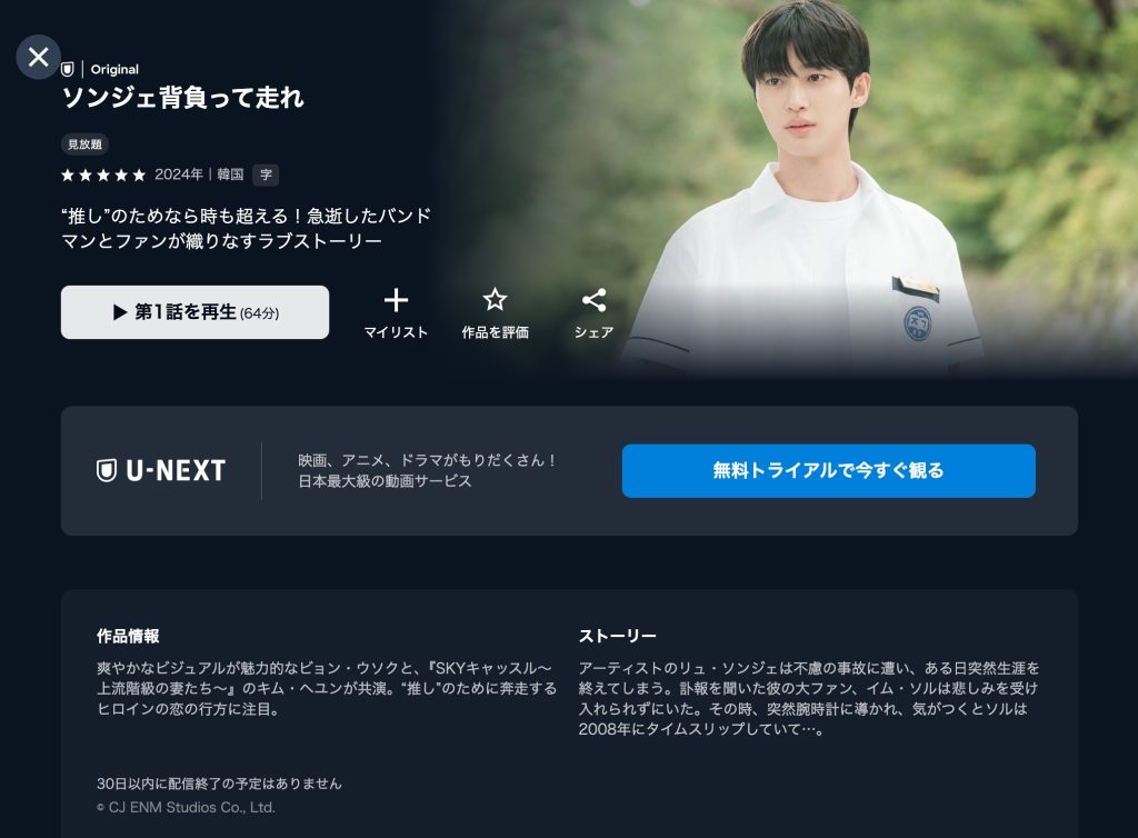 ソンジェ背負って走れ U-NEXT