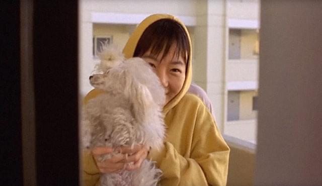 ほえる犬は噛まない