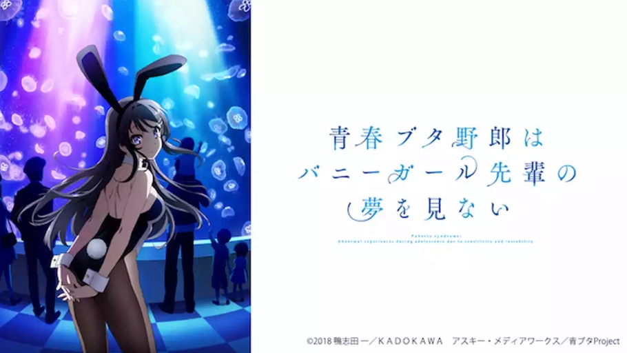 青春ブタ野郎はバニーガール先輩の夢を見ない U-NEXT